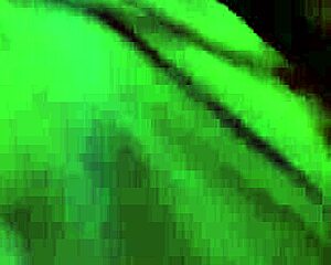 Asian Sucking Champ Skills