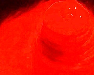 Slow, Detailed Cock Masturbation Leading To Creampie