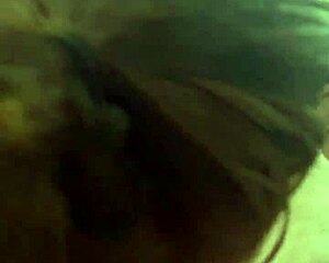 Bbw Beauty With Curves