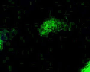 blowjob video with horny action