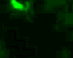 Venezuelan BBW gets her hot ass fucked in hotel room 😍🔥