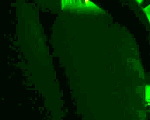 Venezuelan BBW gets her hot ass fucked in hotel room 😍🔥