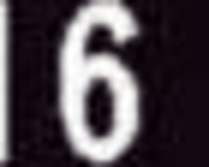 Home Prostitutes Ready For Action!