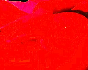 Young 18 Year Old Nymphomaniac Masturbates Relentlessly And Cums Hard In Full Video