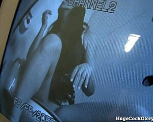 Hot Chick Blows Cock Through Glory Hole