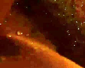 Irresistible Blonde Gets Banged After Oral