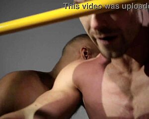 Fort Troff Diamond X Fuck Machine—Is This the Ultimate Kinky Ride?