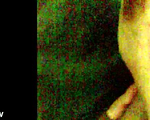 Amateur blowjob scene featuring Amador in action