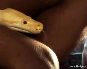 beautiful indian dance arouses me