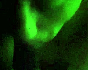 i can’t resist giving head, my cheating wife skills are unreal