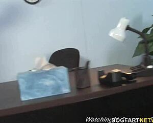 Paris Gables Takes BBC!