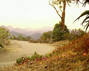 Blonde Milf Babe Takes Selfies Outdoors