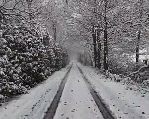 the chick with a large ass received huge big ass.