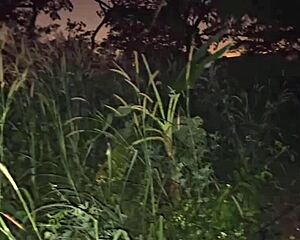 Intense Night Forest Camp Sex Unleashed