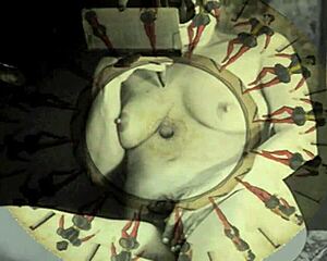 Vintage illustration art brings retro charm to your screen