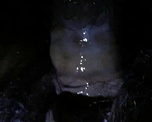 Sexy pussy gets hardcore fucking in intense session