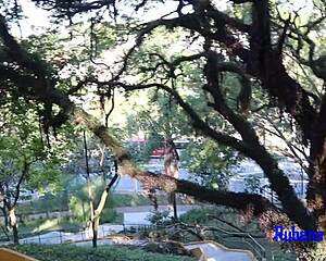 Blonde with big boobs gives pussy to public masturbator