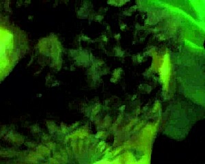 Big Tits Threesome With Monster Cocks