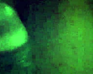 what a sloppy ebony blowjob from that black babe!