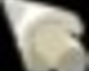 Spooky milk life taboo hentai game episode 13