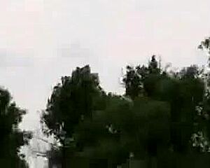 a skinny brown haired girl strips naked by the lake