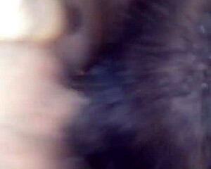 Thick Detroit Chick Gets Nailed Hard