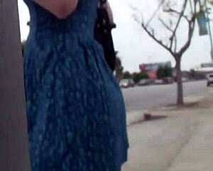 Girls everywhere engage in sharking adventures