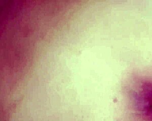 beautiful indian girl plays with boyfriend's cock in doggy style