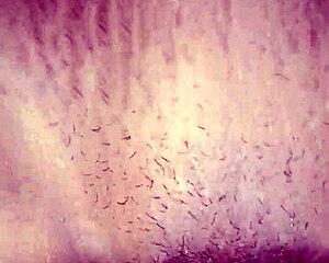 Indian girlfriend gets pussy fucked hard and squirts