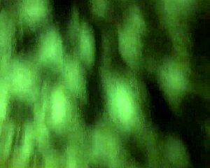 Talking about my girlfriend's vagina in detail