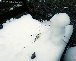 white cat mya and snow sculpture art