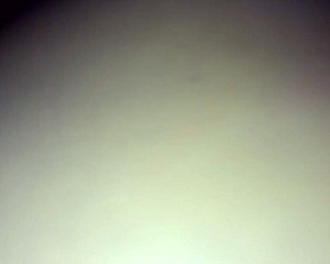 3some with my white tranny bitch got wild real quick 😈🔥