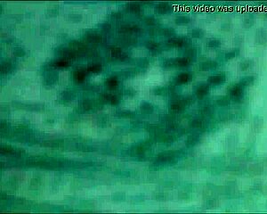 putarias de casal ao ar livre