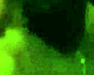 Girlfriend blowjob with friend amateur video