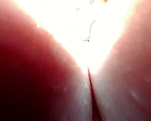 Unaware giantess tiny man hides in tits