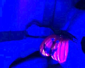 Celebrating happy halloween with amateur couple in homemade outfits