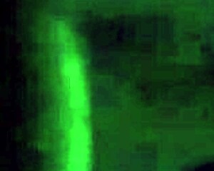 ebony girl sucking big black cock like this