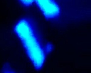 Sloppy Big Black Cock Monster Cock Brings Intense Emotional Release