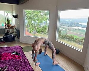 Felicity the cat in yoga pants doing morning yoga
