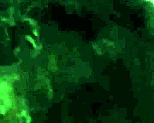 I Love Sucking Dick And Swallowing Deep