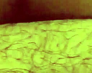 bbw teen bent over in doggystyle pov fucking