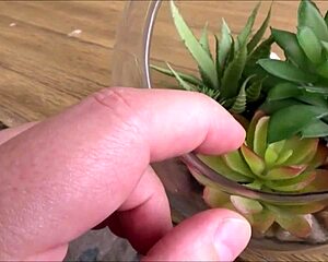 tiny asian teen shares room