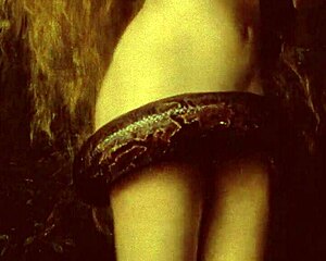 vintage erotic art stirs deep desires