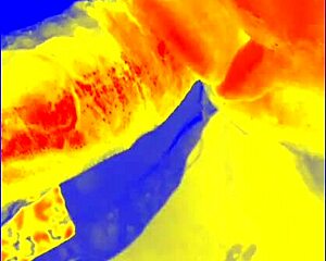 Thermal Sloppy Blowjob