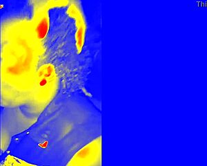 Thermal Sloppy Blowjob