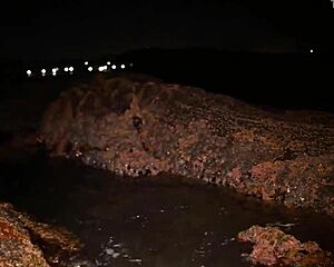 African pornstar masturbates big ass to squirting orgasm on beach