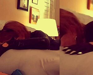 I love watching Catgranny deepthroat Batman.