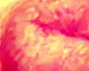 doa5 hitomi gravure studio - 11 2