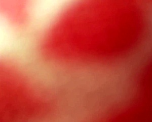 Cogiendo infiel le encanta por la panocha y por el culo