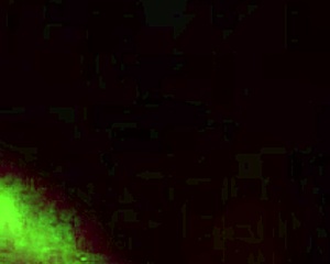 Guy endures 9 minutes of blowjob without cumming in gay scene